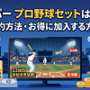 スカパープロ野球セットは高い？契約方法・お得に加入する方法解説