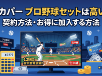 スカパープロ野球セットは高い？契約方法・お得に加入する方法解説