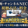 チャンネルNECO視聴方法・料金・スマホで見る方法と契約手順