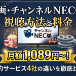 チャンネルNECO視聴方法・料金・スマホで見る方法と契約手順