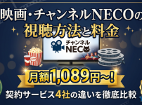 チャンネルNECO視聴方法・料金・スマホで見る方法と契約手順