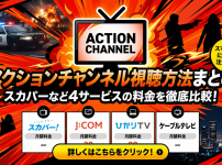アクションチャンネル視聴方法・料金・スマホで見る方法と契約手順
