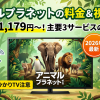 アニマルプラネット視聴方法・料金・スマホで見る方法と契約手順