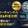 ミステリーチャンネル視聴方法・料金・スマホで見る方法と契約手順