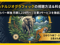 ナショナルジオグラフィック視聴方法・料金・スマホで見る方法と契約手順