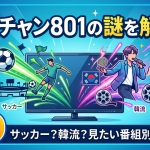 スカチャン801とは？料金と視聴方法｜サッカーも韓流も映る枠チャンネル