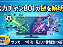 スカチャン801とは？料金と視聴方法｜サッカーも韓流も映る枠チャンネル