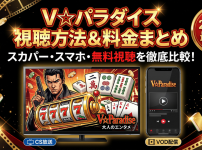 V☆パラダイス視聴方法・料金・スマホで見る方法と契約手順